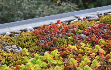 the cost of Melbourne green roof installation