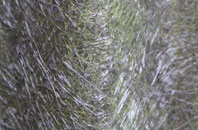 Melbourne fibreglass roof work